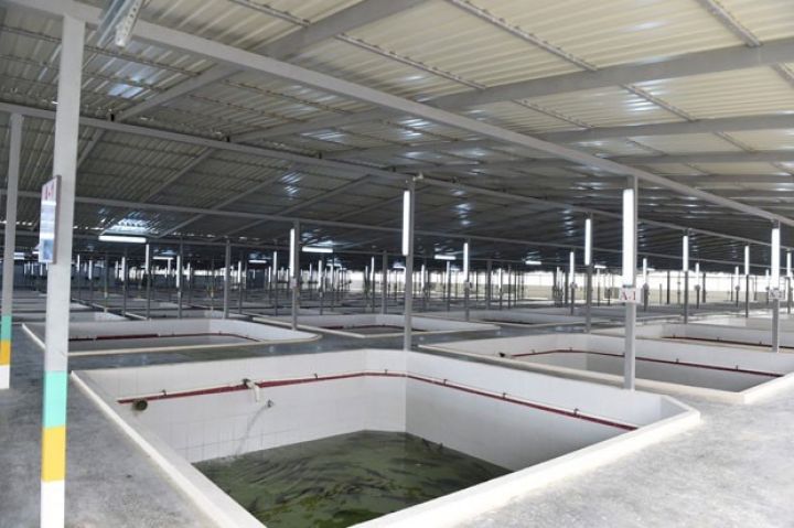 Qafqazda ən böyük olacaq