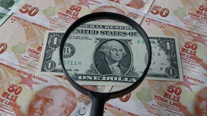 Türk Lirəsi 6% də ucuzlaşdı