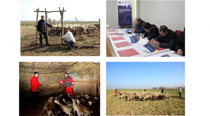 AMFA-nın təlimlərində iştirak etdi, öyrəndi, kooperativ yaratdı