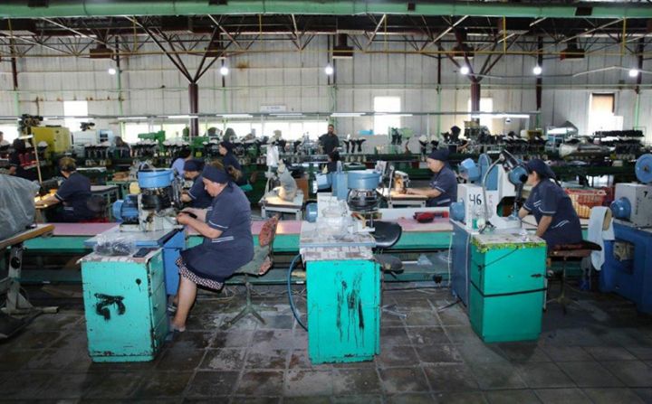 Dövlət Xidməti kapitalı 7,8 milyon manat olan fabrikin özəlləşdirilməsində iştiraka dəvət edir