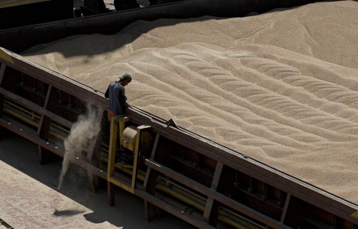 "Bakı-Taxıl" yeni şirkət yaradacaq