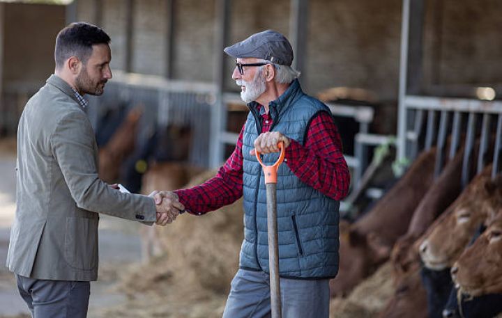 Fermerlər heyvanlarını daha çox sığortalayır: göstərici 2 dəfə yüksəlib