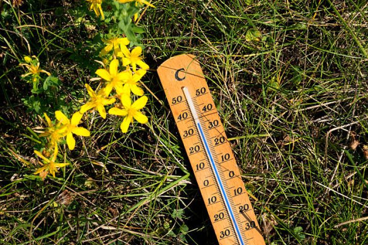 Martın 13-də gözlənilən hava şəraiti