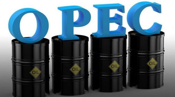 OPEC iyunda “Vyana sazişi”nin uzadılması məsələsinə baxacaq