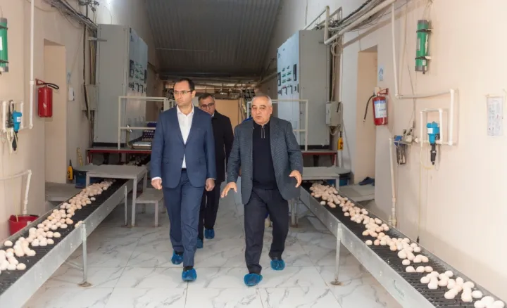 Nazir quşçuluq müəssisələrində olub, müzakirələr aparılıb